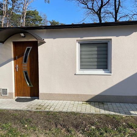 Domki Przy Obrze Skwierzyna Экстерьер фото