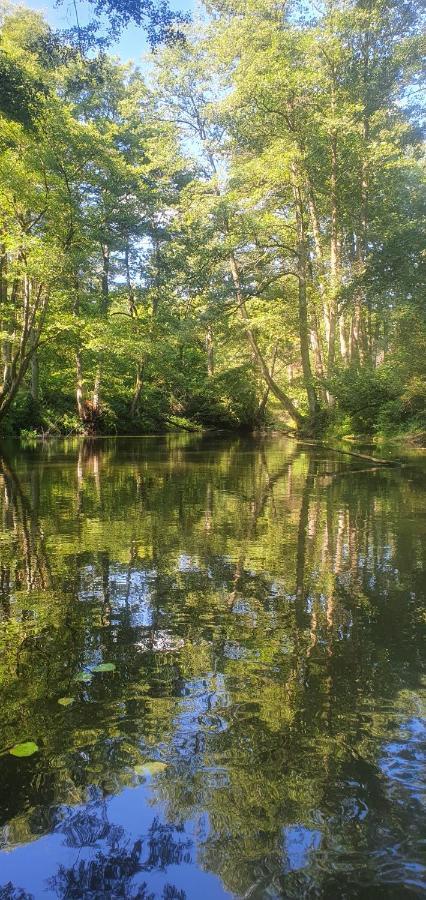Domki Przy Obrze Skwierzyna Экстерьер фото